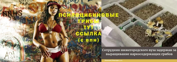 соль курить ск Елизово