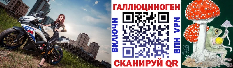 Купить  Узловая  Галлюциногенные грибы мухоморы 